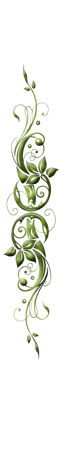 Ranke